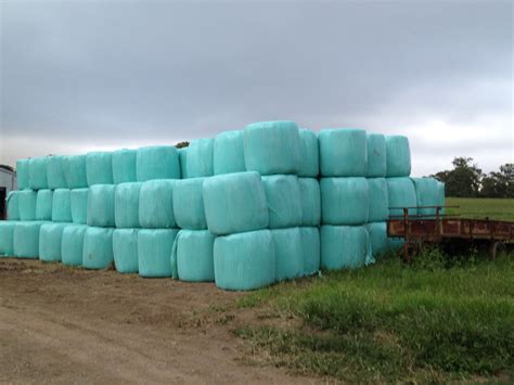 bale silage for sale